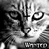   Wanted