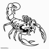   scorpion9524